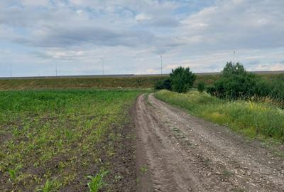 Teren agricol extravilan de 8877 mp, în Exterior Nord - 7