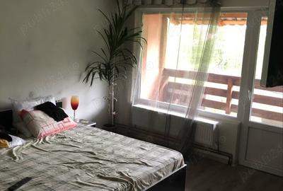 Casa la munte - 2