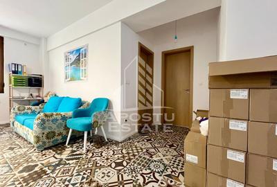 Apartament cu 2 camere, terasa 124mp, zona Torontalului - 3