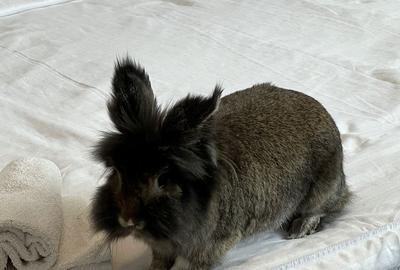 Apartament cu 2 camere în Cotroceni - 1