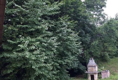 Casă cu 5 camere cu Teren 2345 Mp în Breaza - 5