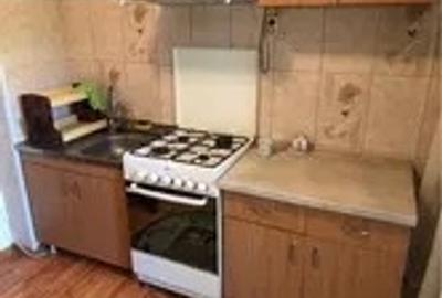 Apartament cu 2 camere, etajul 1/4, zona Nicolina - 4