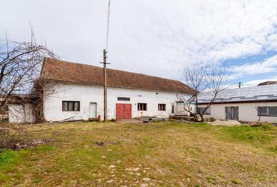 Brutarie in Lipova - 1