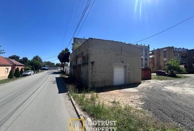 Hală Industrială de inchiriat - Lipova, Județul Arad - 6