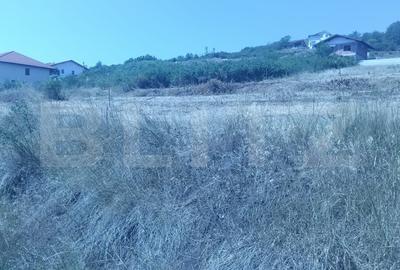 Teren 1000 mp, utilitati + autorizatie – Schit - 3