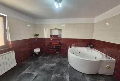 Vila cu piscina Dobroesti Ilfov - 20
