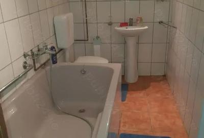 Casă cu 4 camere cu Teren 3400 Mp în Susag - 3