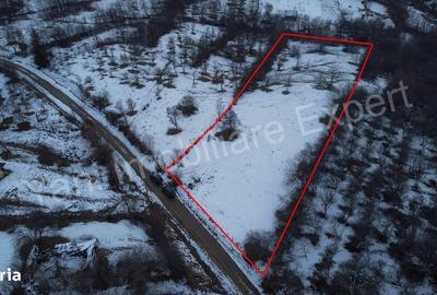 Teren de 4377 mp, în Bradu - 8