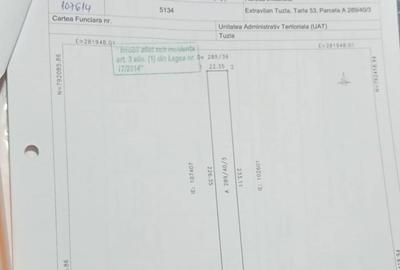 Teren de 5000 mp, în Schitu - 3