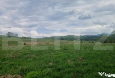 Teren în Dumbrăvița - 1