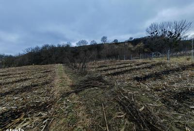Spațiu comercial, în Măgura - 9