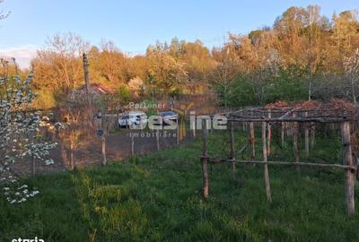 Casă cu 2 camere în Șerbănești - 7