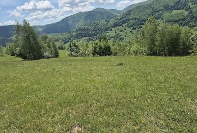 Teren de 3000 mp, în Ponor - 5