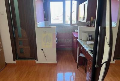 Garsoniera confort 3 Metalurgiei- Drumul Cretestilor. - 2