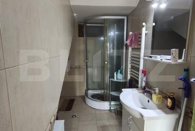 De vanzare casa la intrare in Cihei 185mp P+M+beci teren 2700mp mobilata - 17