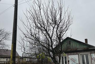 Spațiu comercial, în Siliștea - 1