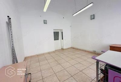 Spatiu comercial, Zona Ultracentrala, Strada Metianu - 2