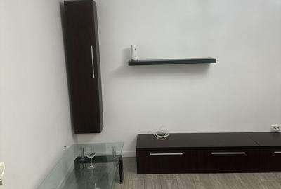 Lacul Tei, langa Facultatea de Constructii - 1