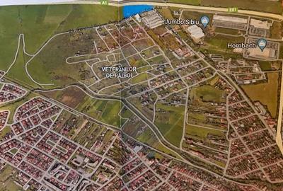 Teren Construcții intravilan de 6500 mp, în Veterani - 3