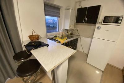 1 camera, Cartierul Marasti, AC, Zona Cesarom, Plevnei, Pet Friendly - 2