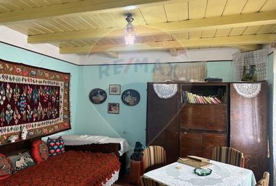 Teren intravilan 4.779 mp + casa si anexe - Girov, Neamt - 11