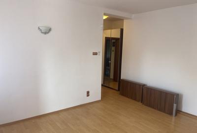 Vila individuala 7 camere de vanzare/inchiriere Iancu Nicolae - 12