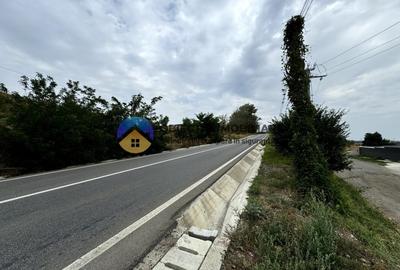 Teren Piatra Neamt , la strada 70 m lineari deschidere - 3