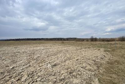 Teren agricol extravilan de 2300 mp, în Horodnic de Sus - 6