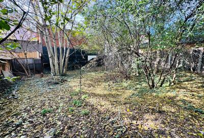 Casa de vanzare in zona Iosefin -Mangalia (curte+gradina) - 8