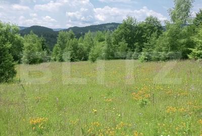 Teren în Scărișoara - 5