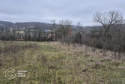 Teren de 2880 mp, în Șiștarovăț - 1