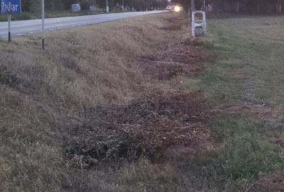 Spațiu comercial, în Cărpiniș - 8