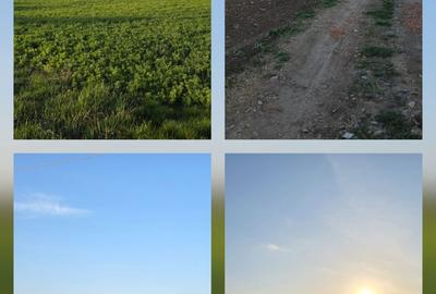 Spațiu comercial, în Sânmartin - 5