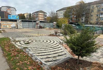 Spațiu comercial, în Lipovei - 1