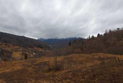 Spațiu comercial, în Central - 6