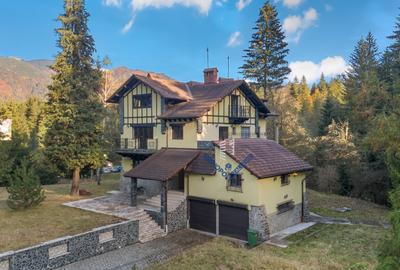 Proprietate cu potențial uriaș - Timișul de Sus - Brașov Proprietate cu potențial uriaș - Timișul de Sus - Brașov - 3