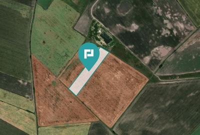 Teren extravilan de 28900 mp în Variașul Mare Teren extravilan de 28900 mp în Variașul Mare - 1