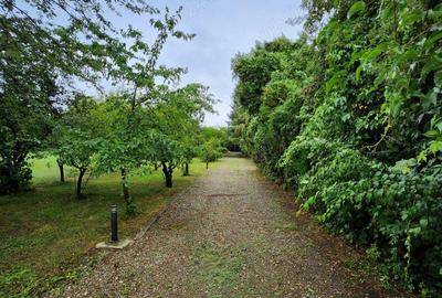 Evadare intr-un Paradis Privat: Proprietate Unica in Valenii de Munte - 5