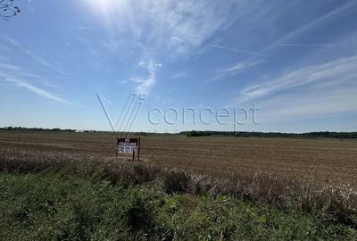 0% comision Teren intravilan - Ciolpani - Izvorani | 1.300 mp - 8