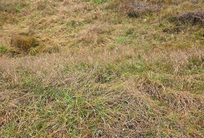 Spațiu comercial, în Horpaz - 6