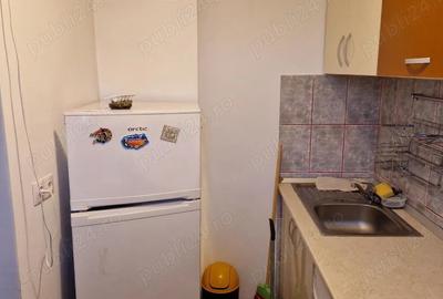 Obor ,Teiul Doamnei ,Lacul Tei - 4