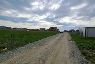 Spațiu comercial, în Vest - 6