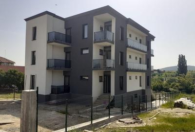 Casă cu 4 camere în Băile Felix - 1