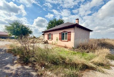 Ferma in Medgidia, zona Tortomanu - 2