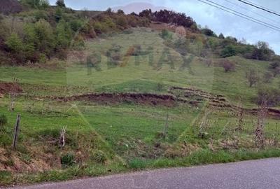 Teren Construcții de 4780 mp, în Vadu Izei - 4