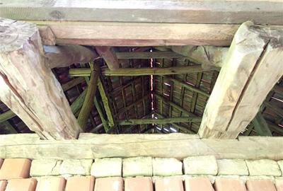 Teren agricol extravilan de 16000 mp, în Borlovenii Noi - 23