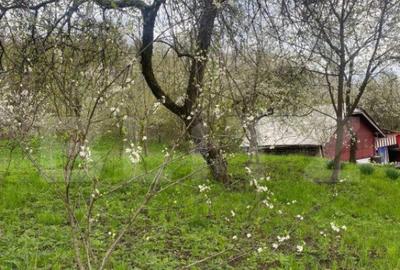 Teren de 784 mp, în Nistorești - 1