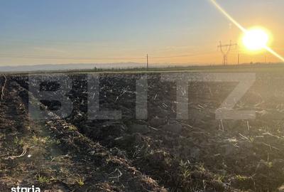 Teren de 3600 mp, în Forăști - 2