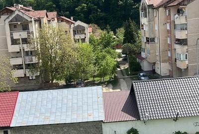 Apartament cu 2 camere decomandat în Coman - 4