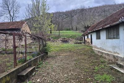 Casa in Carasova Casa in Carasova - 4